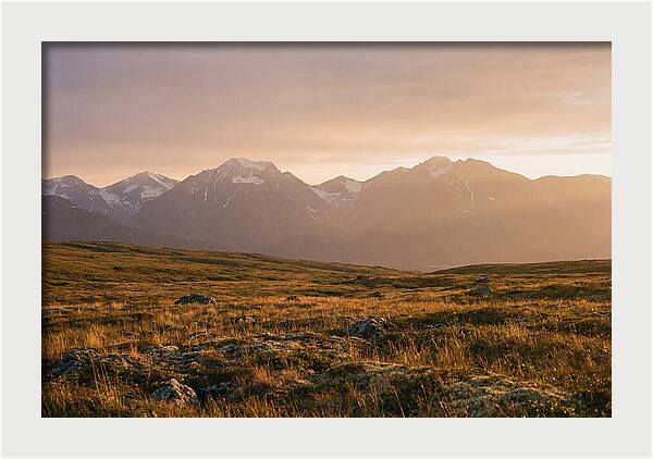 Denali Tundra Expanse At Dusk