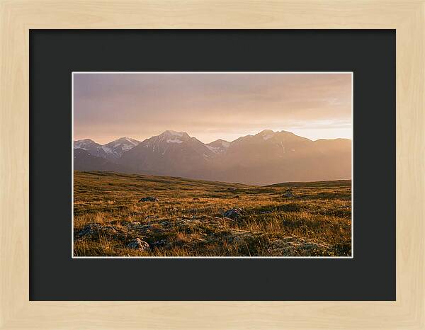 Denali Tundra Expanse At Dusk