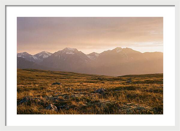Denali Tundra Expanse At Dusk