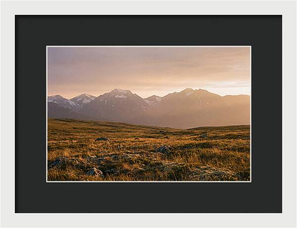 Denali Tundra Expanse At Dusk