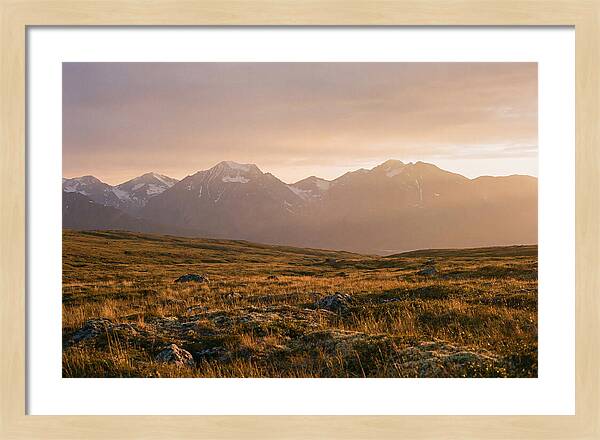 Denali Tundra Expanse At Dusk