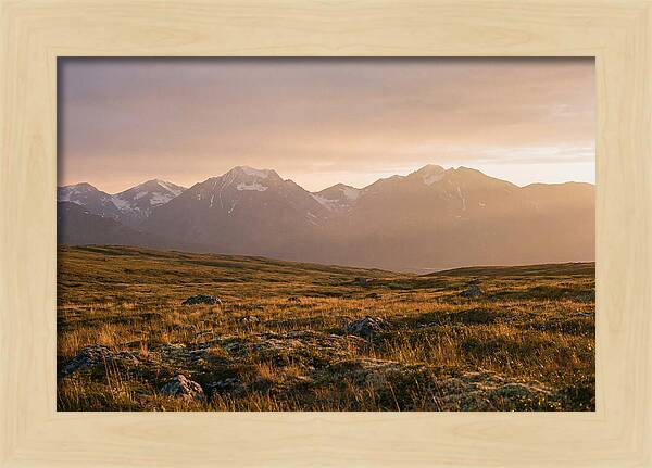 Denali Tundra Expanse At Dusk