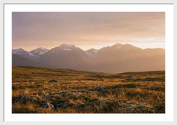 Denali Tundra Expanse At Dusk