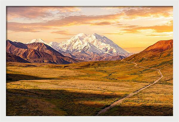 Denalis Grandeur Above The Tundra