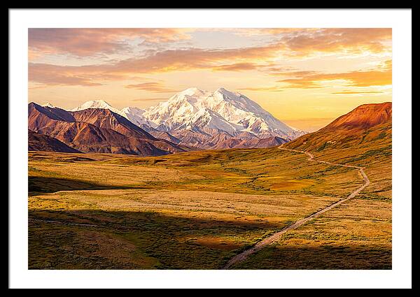 Denalis Grandeur Above The Tundra