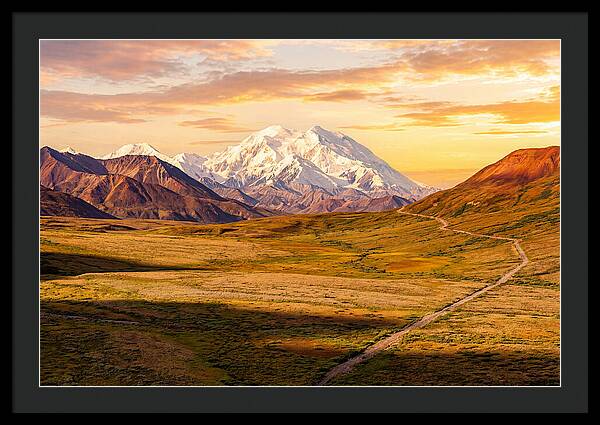 Denalis Grandeur Above The Tundra