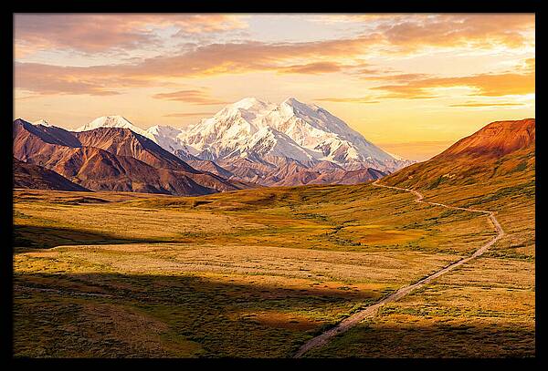 Denalis Grandeur Above The Tundra