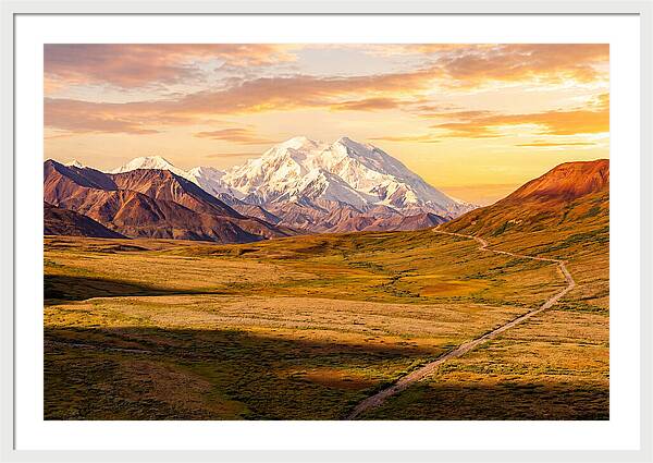 Denalis Grandeur Above The Tundra