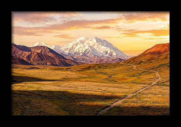 Denalis Grandeur Above The Tundra