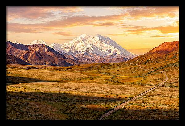 Denalis Grandeur Above The Tundra
