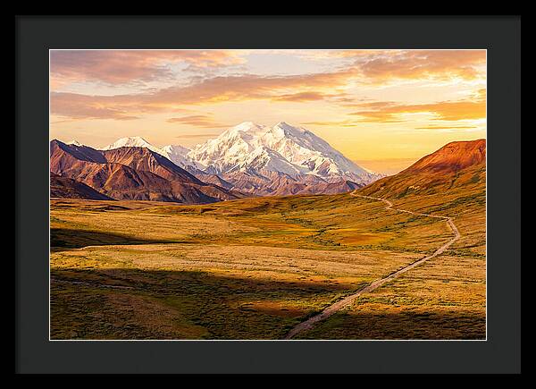 Denalis Grandeur Above The Tundra