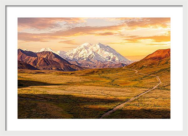Denalis Grandeur Above The Tundra