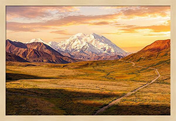 Denalis Grandeur Above The Tundra