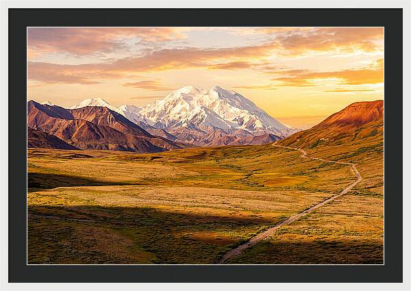 Denalis Grandeur Above The Tundra