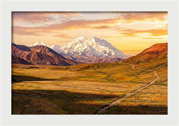 Denalis Grandeur Above The Tundra