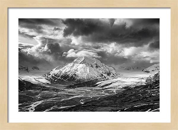 Denalis Majestic Arctic Expanse