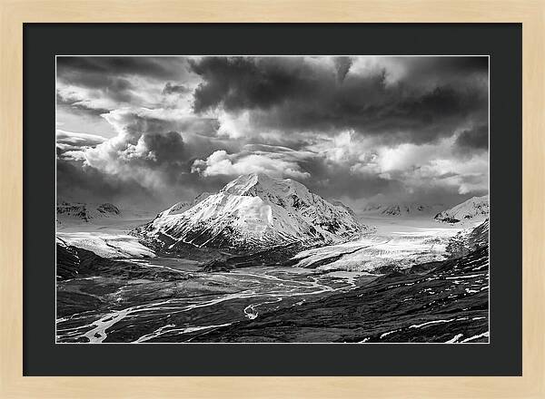 Denalis Majestic Arctic Expanse