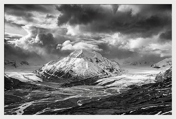 Denalis Majestic Arctic Expanse