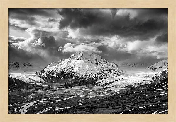 Denalis Majestic Arctic Expanse