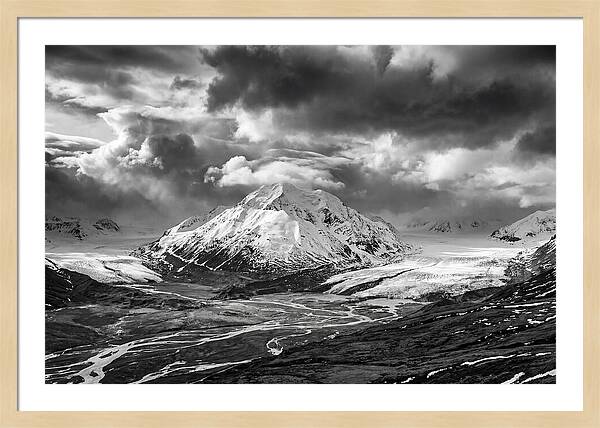 Denalis Majestic Arctic Expanse