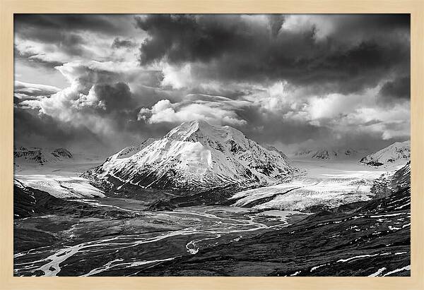 Denalis Majestic Arctic Expanse
