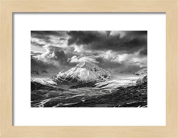 Denalis Majestic Arctic Expanse