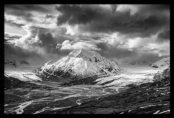 Denalis Majestic Arctic Expanse