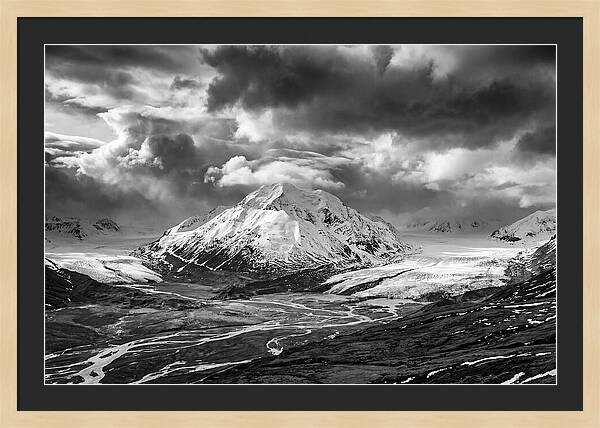 Denalis Majestic Arctic Expanse