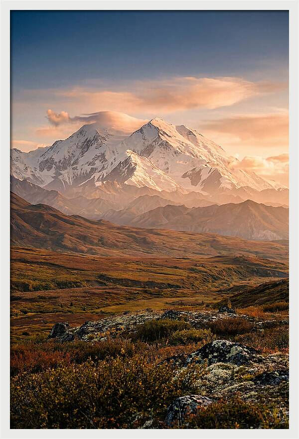 Denalis Majestic Warmth