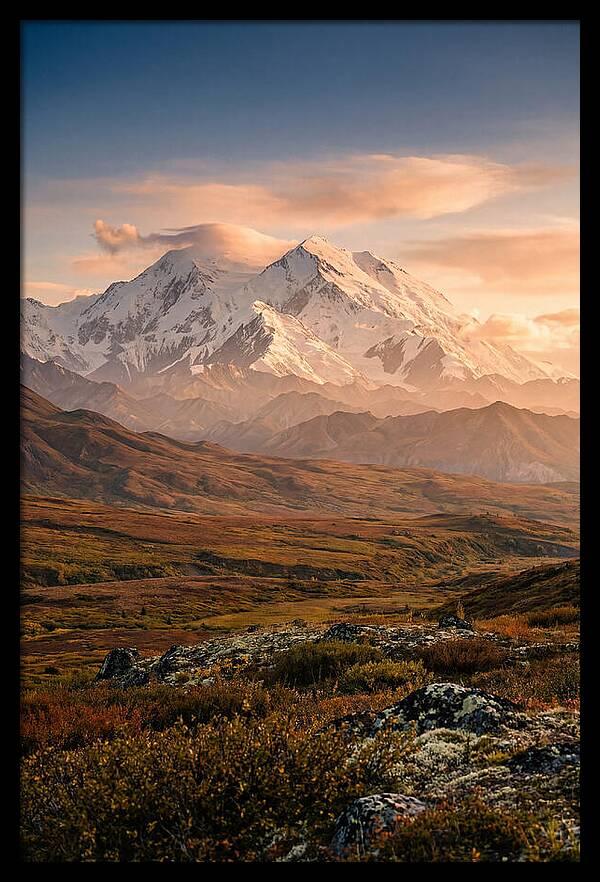 Denalis Majestic Warmth