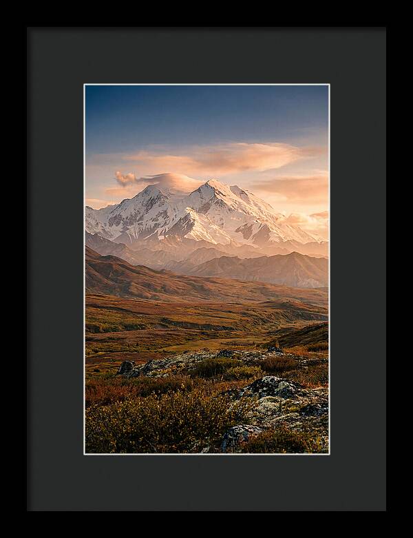 Denalis Majestic Warmth
