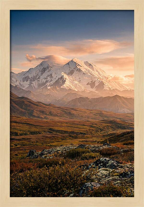 Denalis Majestic Warmth