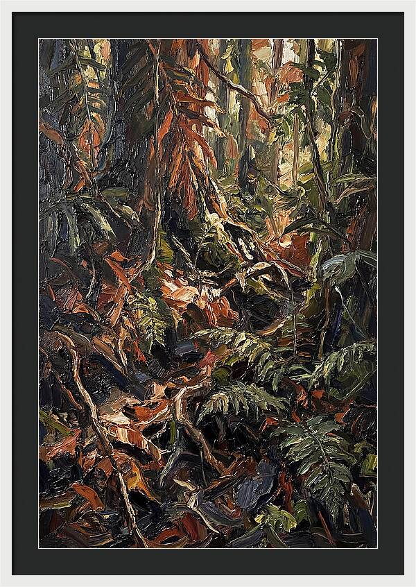 Dense Jungle Undergrowth
