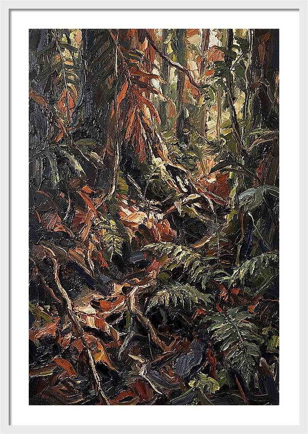 Dense Jungle Undergrowth