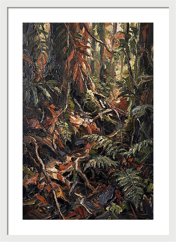 Dense Jungle Undergrowth