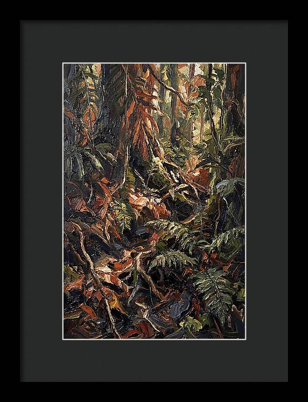 Dense Jungle Undergrowth