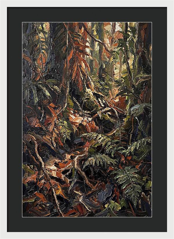 Dense Jungle Undergrowth