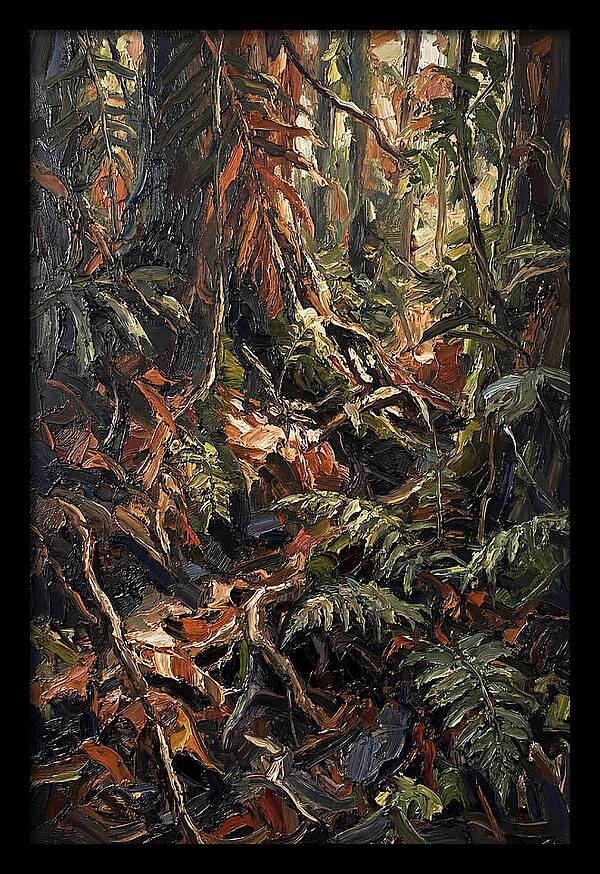 Dense Jungle Undergrowth