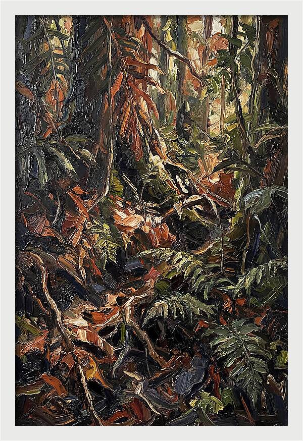 Dense Jungle Undergrowth