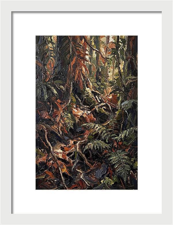 Dense Jungle Undergrowth