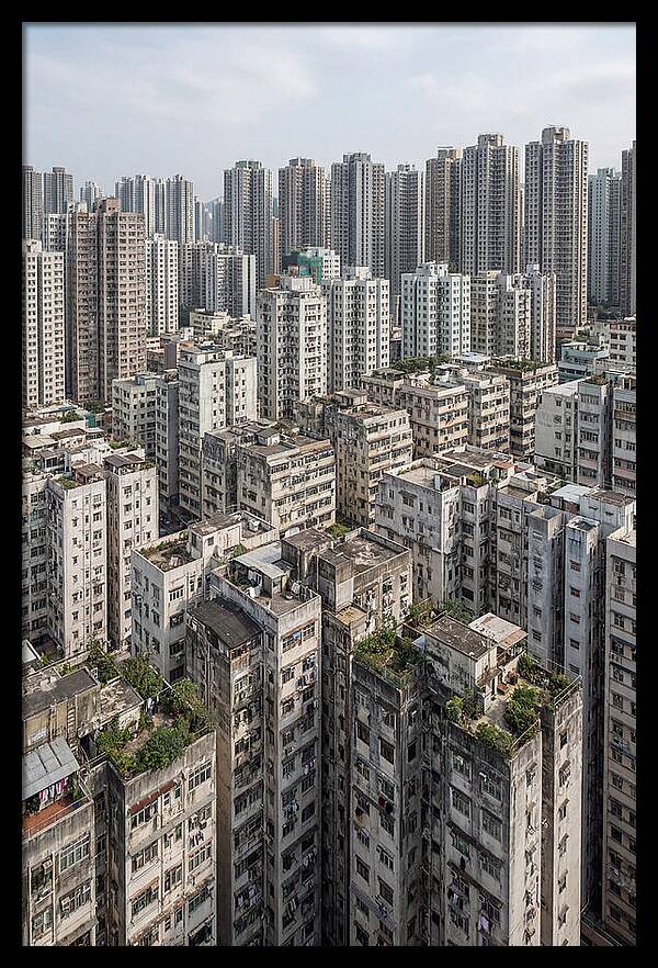 Dense Urban Landscape Of Kowloon