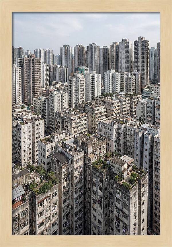 Dense Urban Landscape Of Kowloon