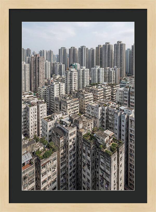 Dense Urban Landscape Of Kowloon