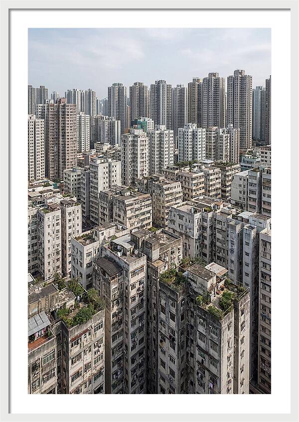 Dense Urban Landscape Of Kowloon