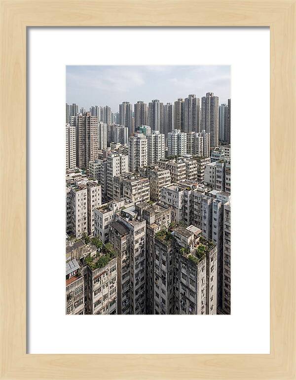 Dense Urban Landscape Of Kowloon