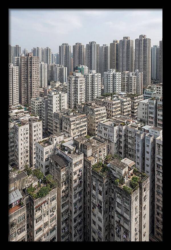 Dense Urban Landscape Of Kowloon