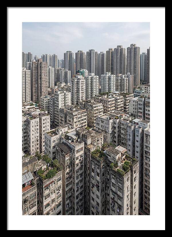 Dense Urban Landscape Of Kowloon