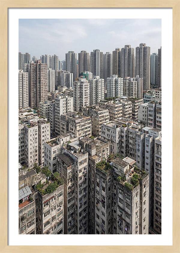 Dense Urban Landscape Of Kowloon