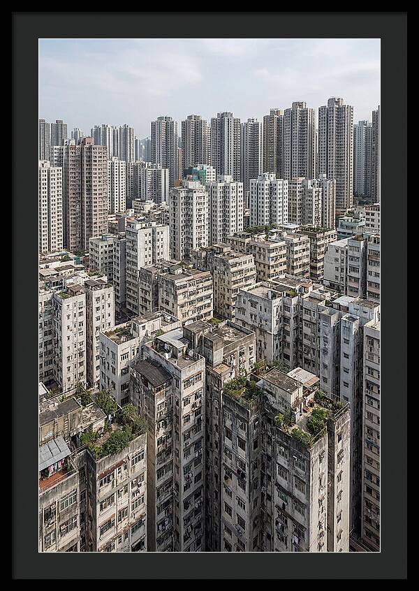 Dense Urban Landscape Of Kowloon