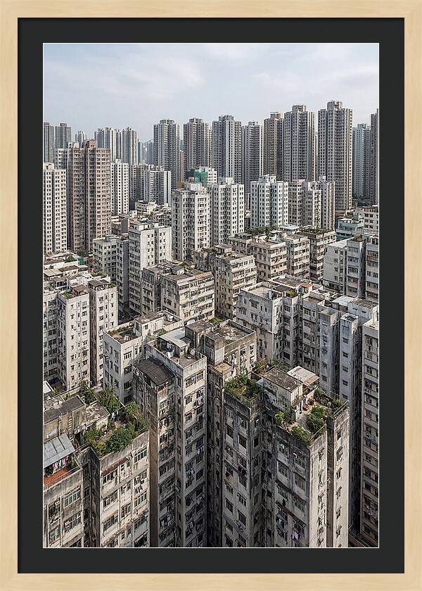 Dense Urban Landscape Of Kowloon